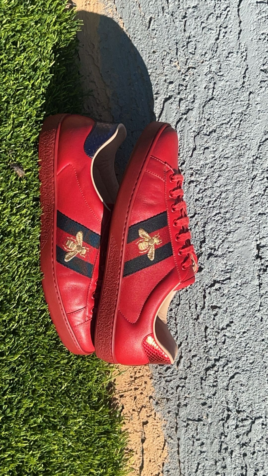 Gucci Shoes 