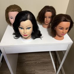 Practice Cosmology Mannequin  Heads