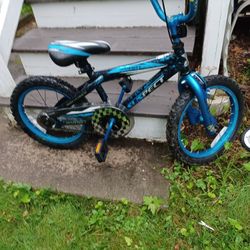 Toddler Bike