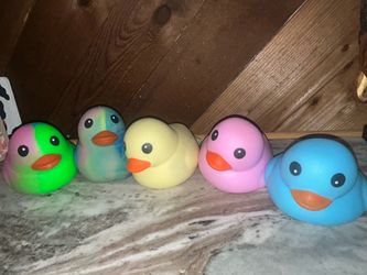 Ducks