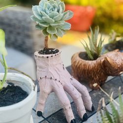 Unique THING! 🖤 Adam’s Family THING Hand Planter  W Succulent 