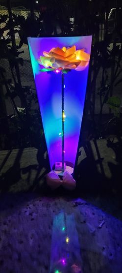 Beautiful Eternal Flower with Led light 