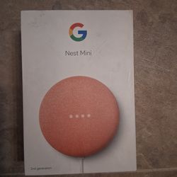 Google Nest Mini