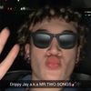 Drippy Jay