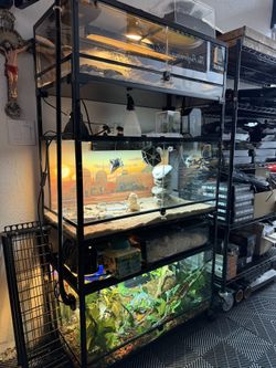 Repti Zoo Enclosures