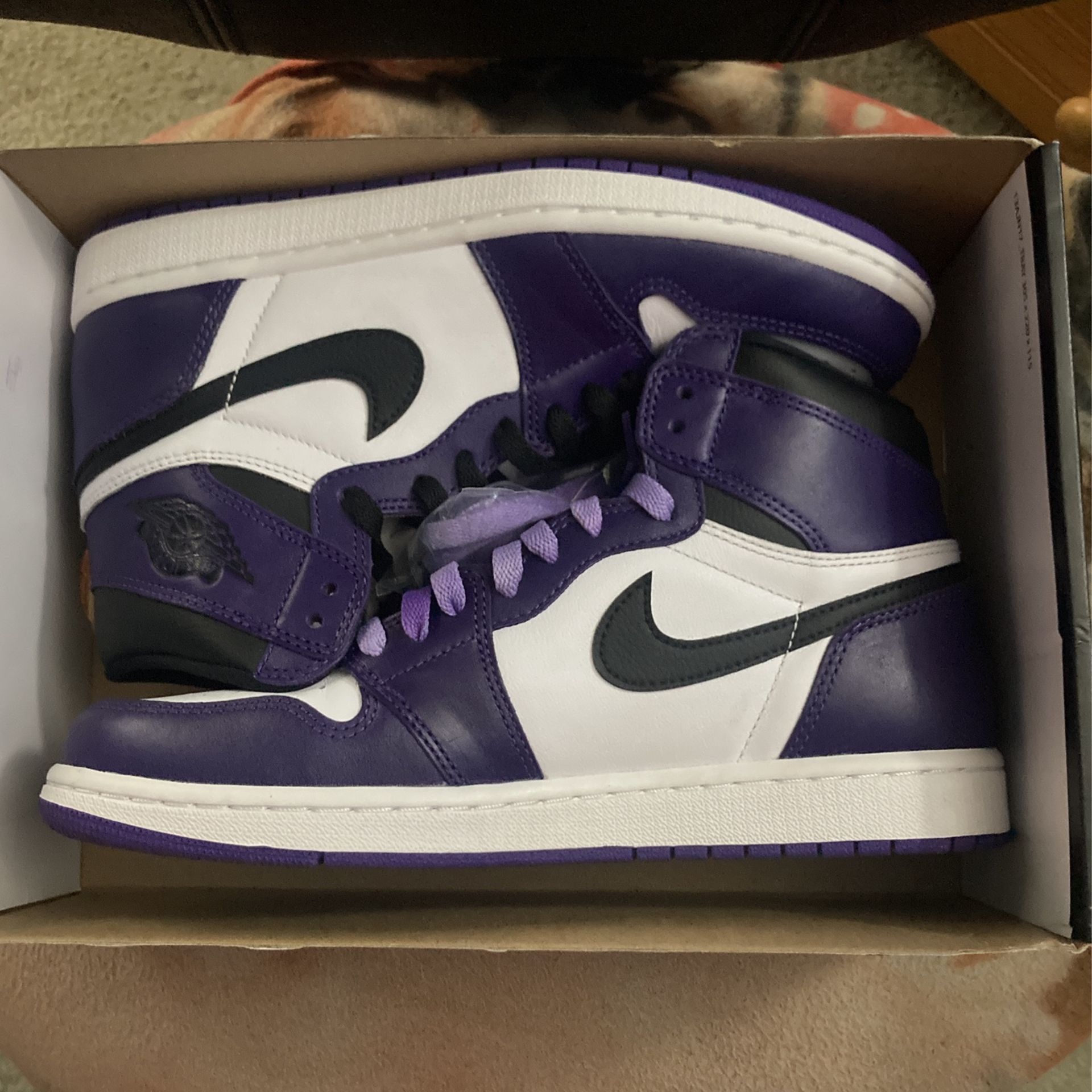 Size 9 Jordan 1 Court Purple 