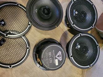 black diamond 6.5 midrange with grills