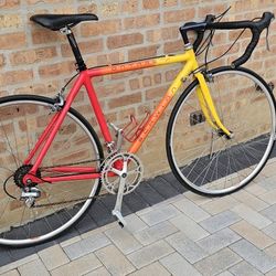 Vintage Road Schwinn..50cm