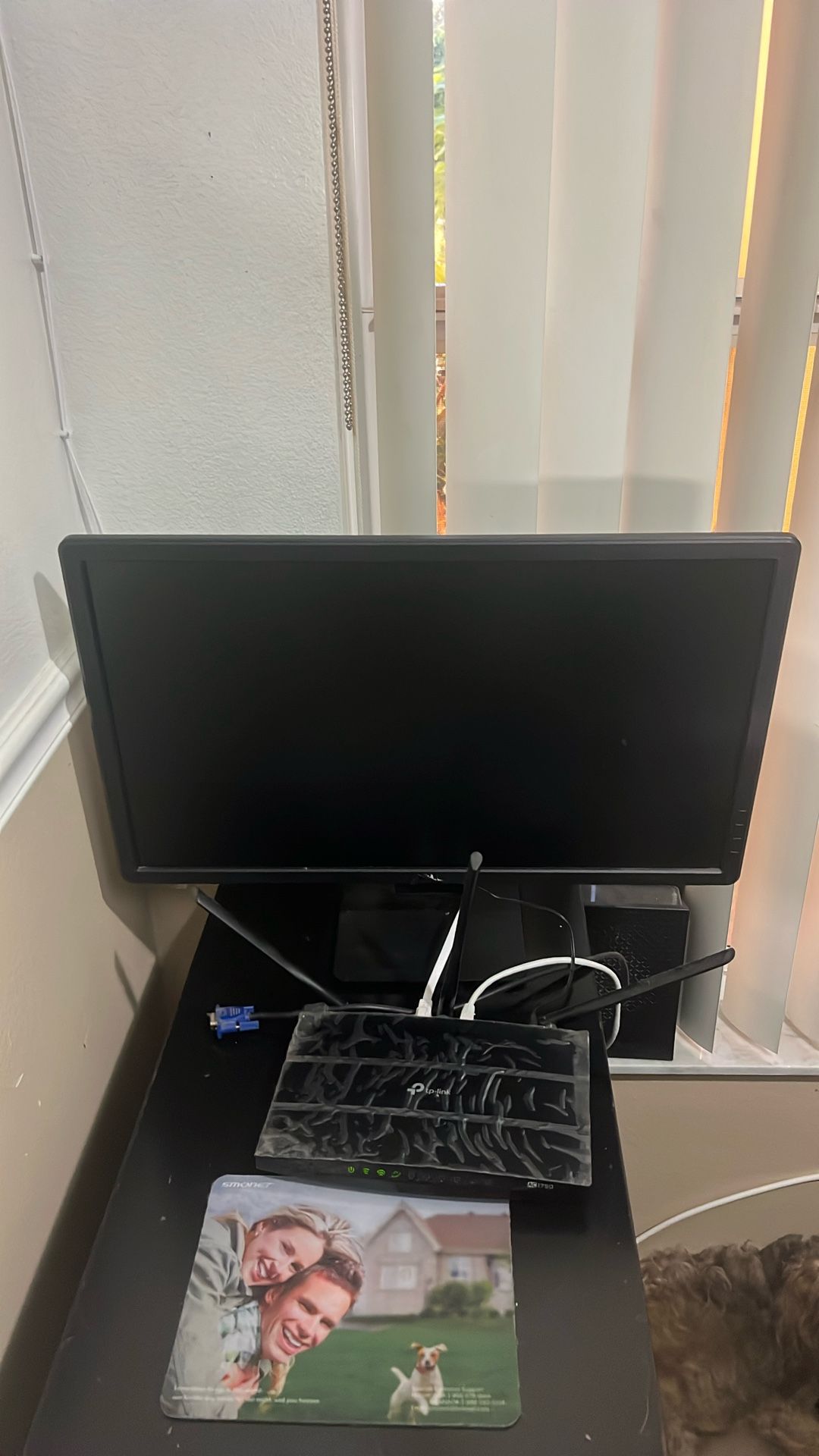 Computer Monitor