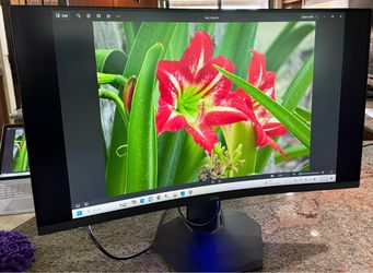 Dell S3222DGM 32” Curved QHD 165Hz Gaming Monitor – $200 OBO