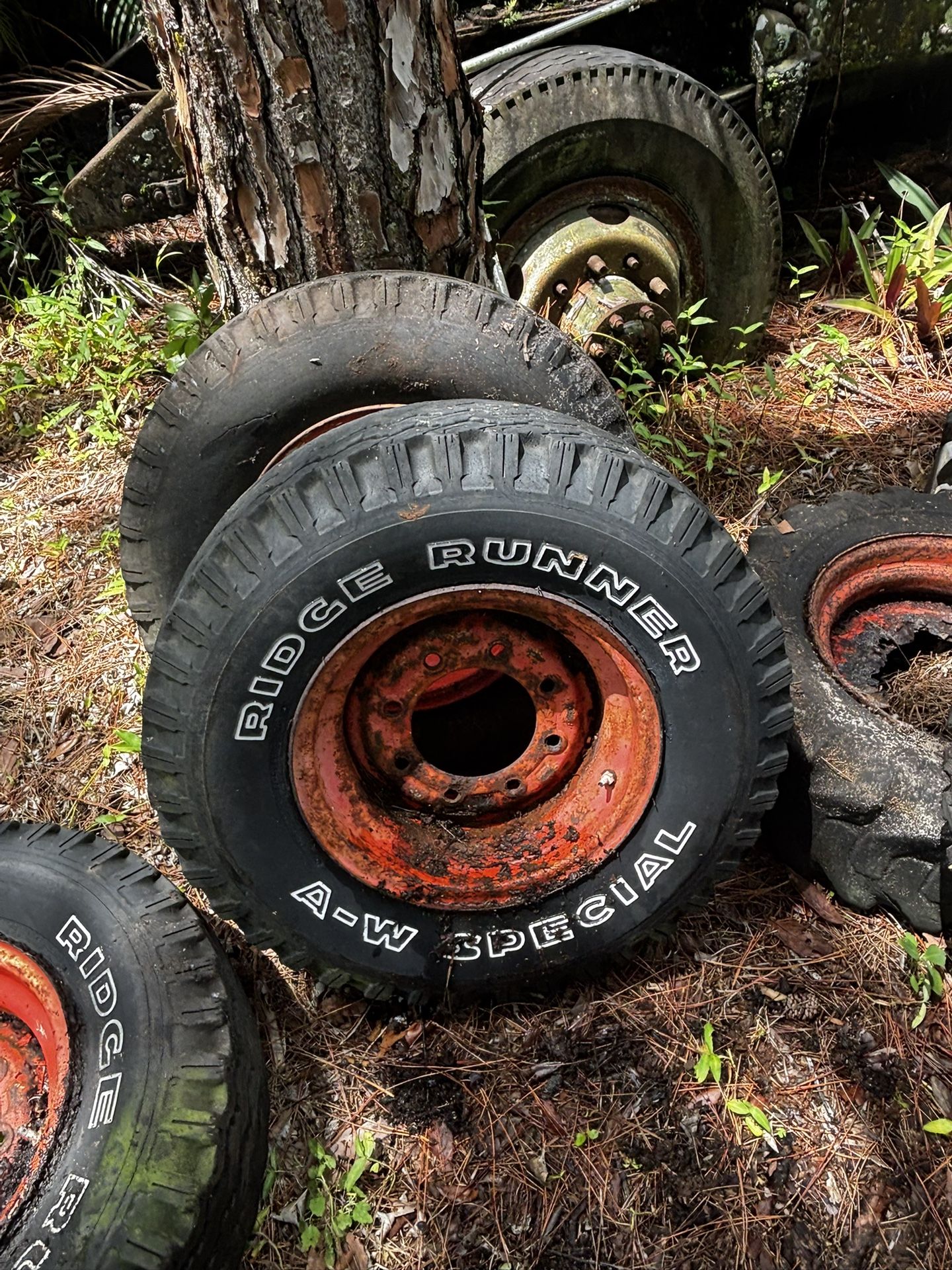 Bobcat Tires (6) Skid Steer