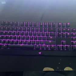 Razor Black Widow 