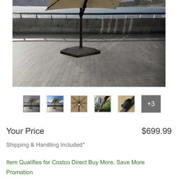 Sunbrella Umbrella 