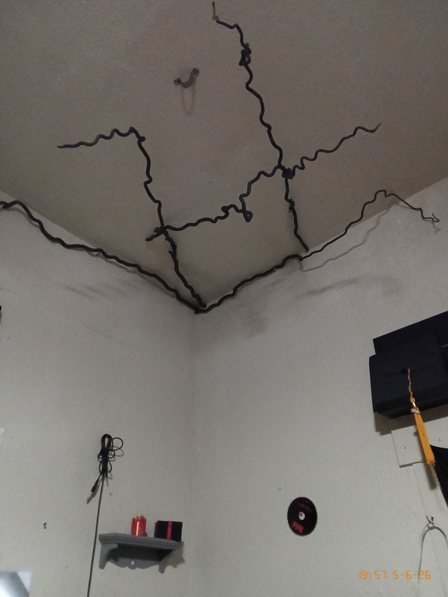 5 separate decorative branches painted black