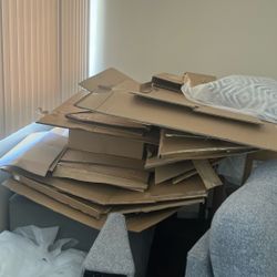 Free Cardboard