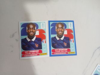 Panini