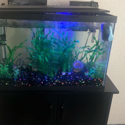20 gallon Fish tank
