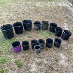 Plant Buckets 