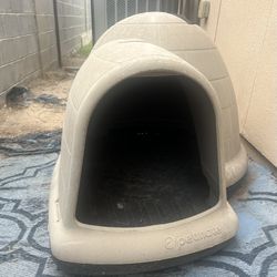 Dog House 