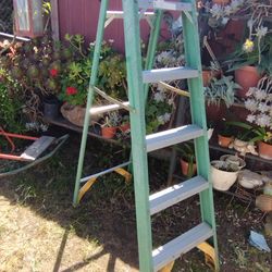 Ladder fiberglass 6 ft