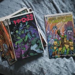 Teenage Mutant Ninja Turtles lot of 12 books