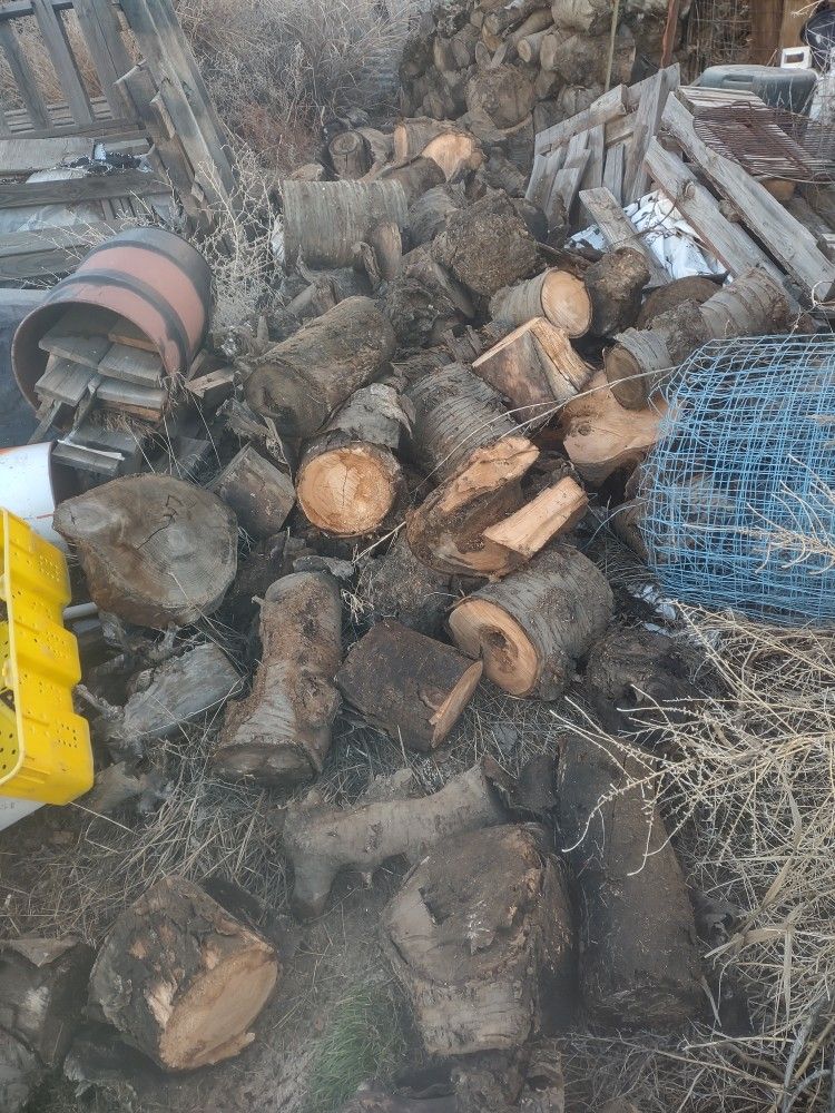 Firewood
