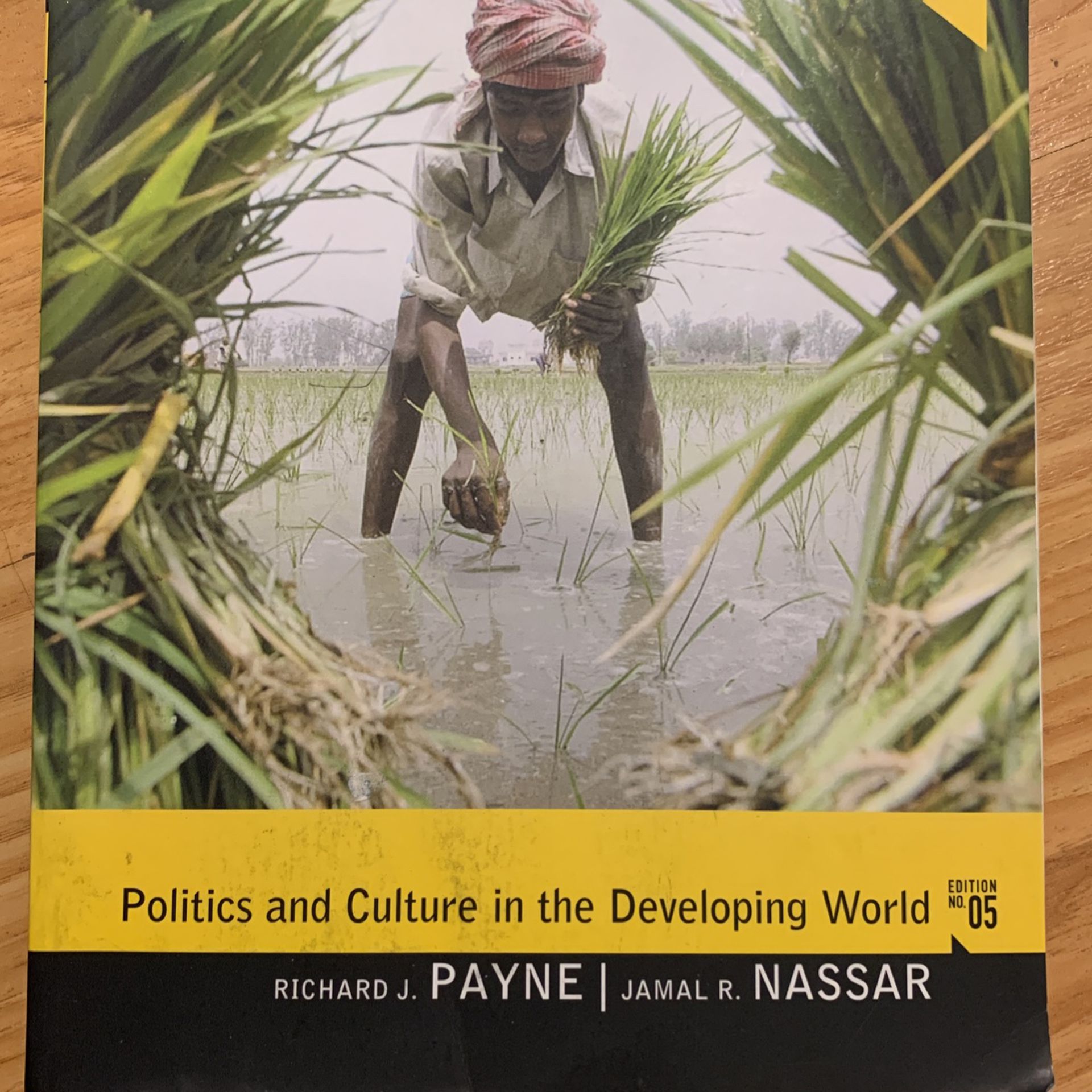 Politics And Culture In The Developing Works Edition 5