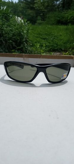 Polarized Ray Ban