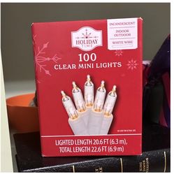 Holiday Time 100 Clear Mini Incandescent String Lights Indoor Outdoor 22.6ft