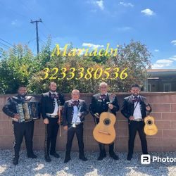 Trompeta Y Mariachi