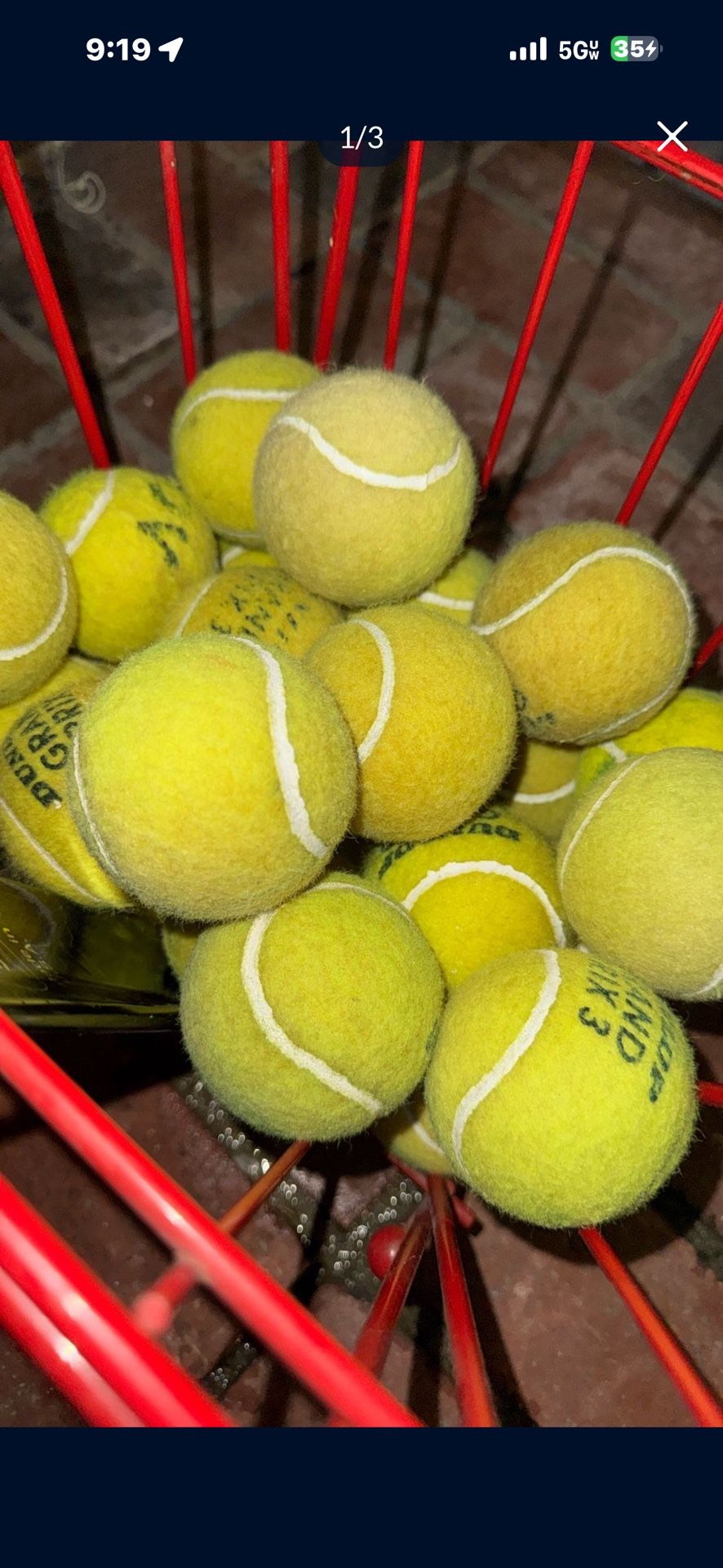 Tennis Balls For Your Dog- 25 Cents!
