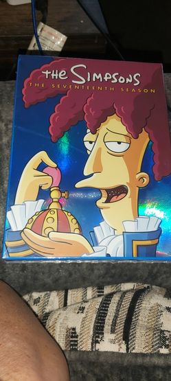 The Simpsons The Seventeenth Season DVD 