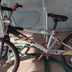 Old School GT BMX