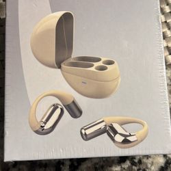 Translating Earbuds