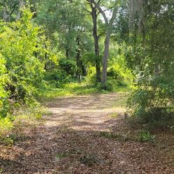 Forestry Mulching 