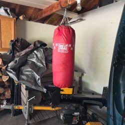 Punching Bag