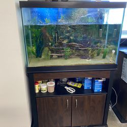 Fish Aquarium, Fish, and Filter