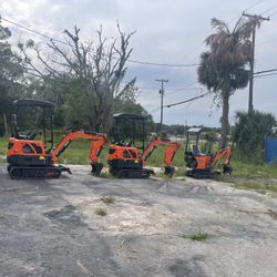 Mini Excavator