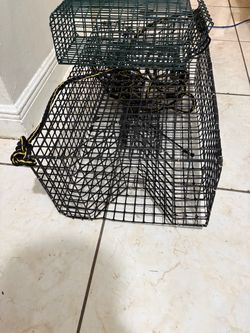 Pinfish trap/minnow trap