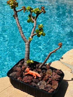 Jade Bonsai Tree with Fox Figurine