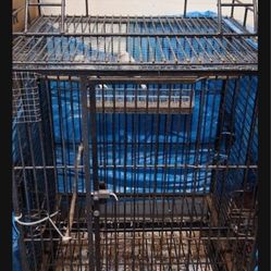🦜🦜BIRD CAGE JAULA🦜🦜