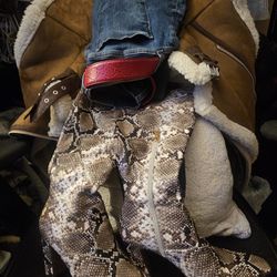 $119 NEW 🎀✨️FRANCO SARTO Knee-High Boots. Size 8-$119🎀✨️