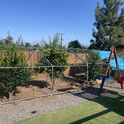Chicken Coop Extensions (two Of Them)