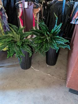 FAUX FERN SET IN VASES