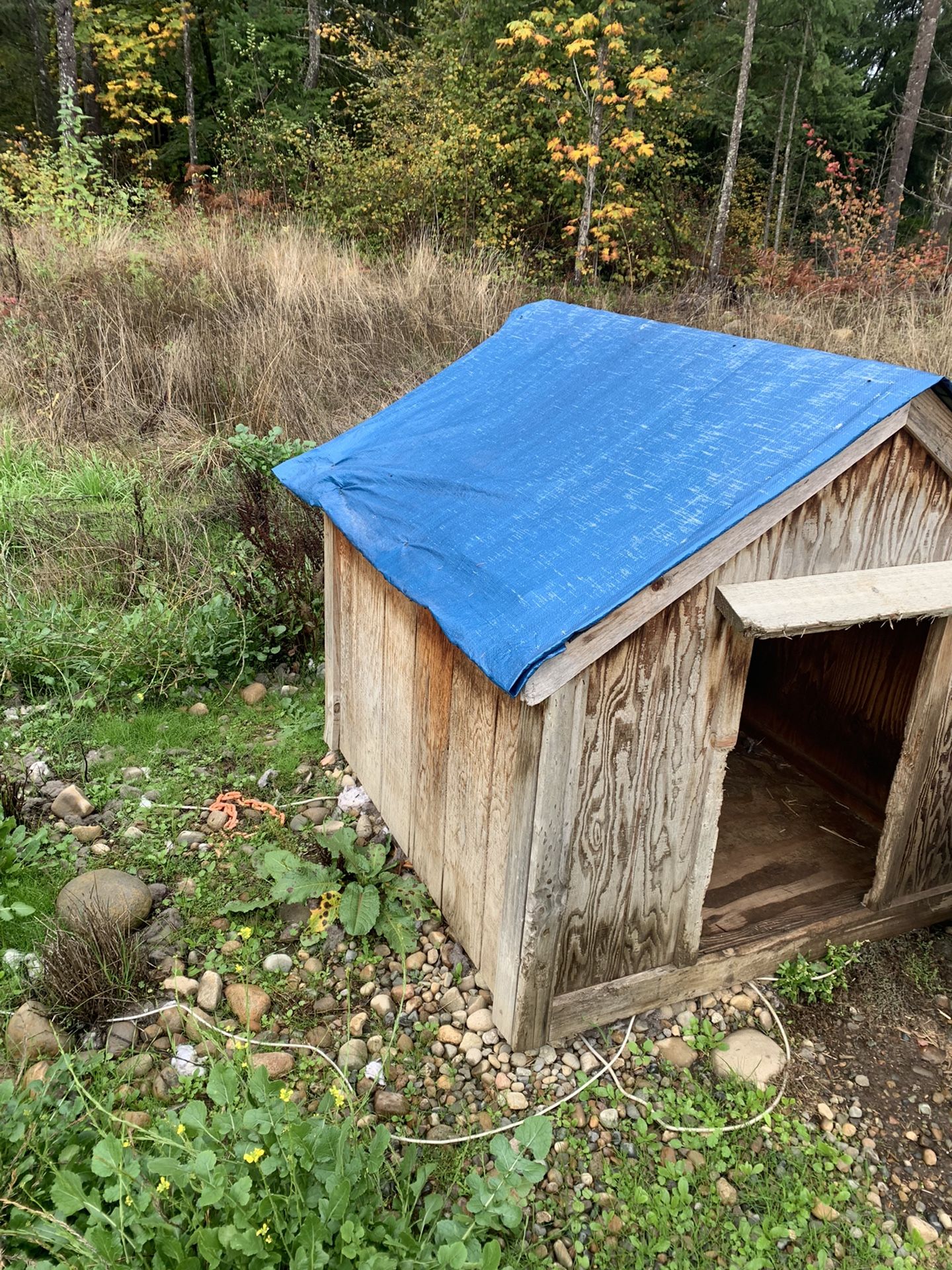 Large Dog House 