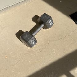 25lb Dumbbell 