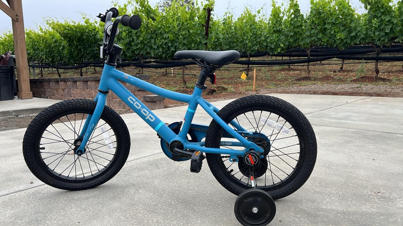 REV 12' Kids Bike co-op