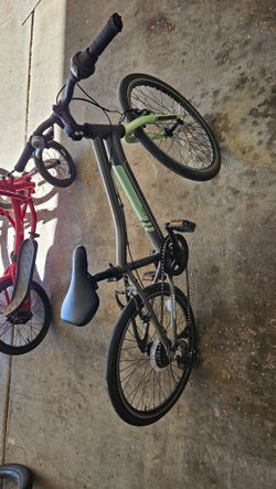 Lark 6 speed 20in bike