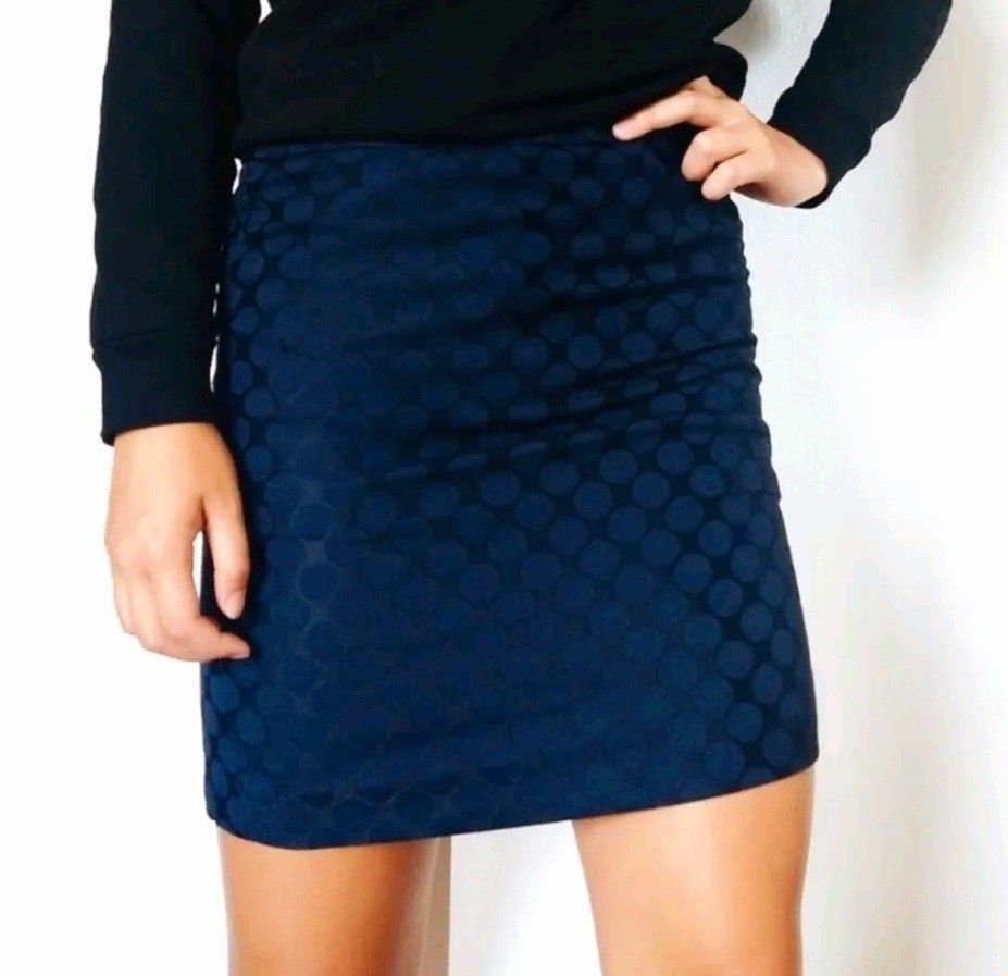 Banana Republic Pencil Skirt