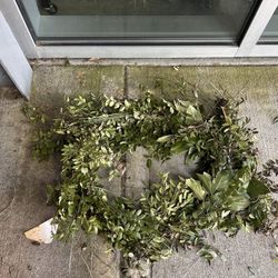 Box Of Live Garland- FREE